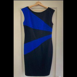 Ellen Tracy shift dress